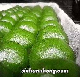 青团子是什么植物