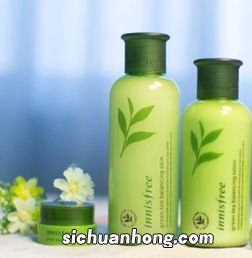 什么茶是绿茶系列