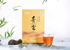 中茶黑茶为什么有树枝