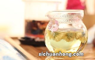 菊花和什么泡茶喝最好