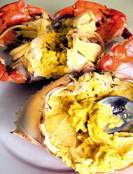 黄油蟹怎么存放