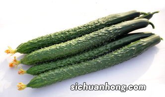 黄瓜怎么样做好吃.