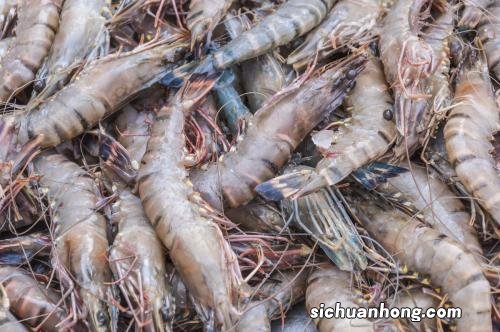 50克虾指的是什么意思