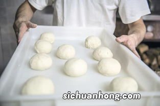 披萨面团发多久