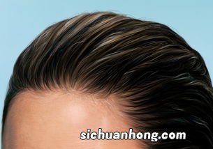 张头发吃什么东西