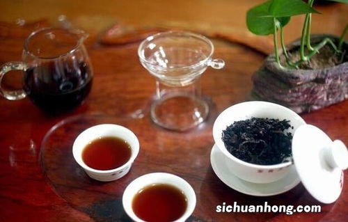 菊普茶什么人不适喝用