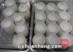 烤箱做酸奶要多久时间