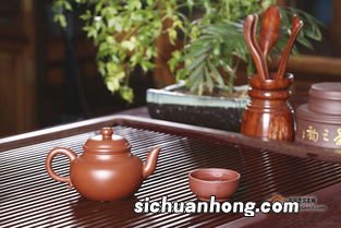 大红袍适合用什么茶具