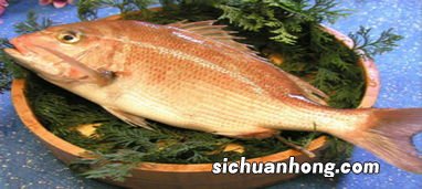 鱼加后读什么好处