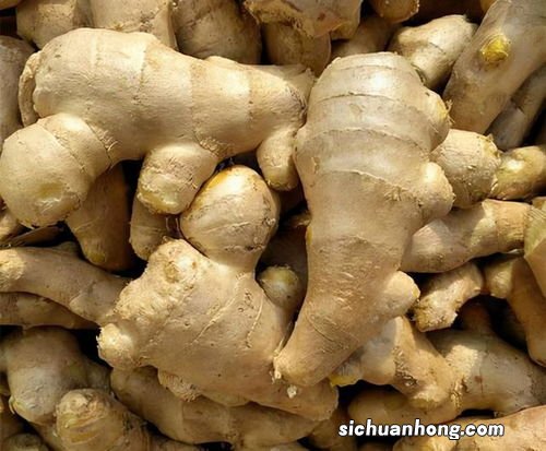 食用醋泡姜有什么功效与作用