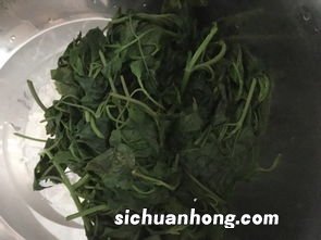 什么野菜可以做饺子馅