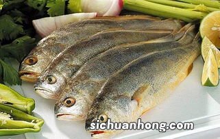 整条黄花鱼煎多久