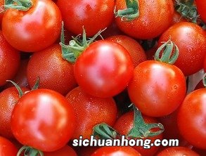 西红柿防什么癌