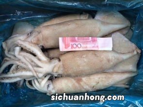 冰冻全籽鱿鱼怎么处理
