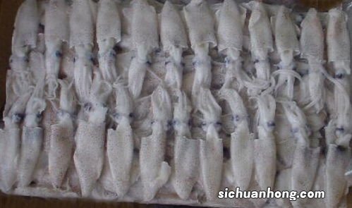 冰冻全籽鱿鱼怎么处理