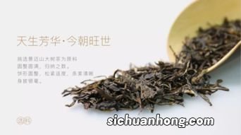 大益狗年生肖茶现在什么价