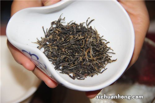 金骏眉是什么部位