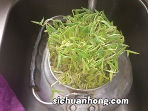 豆要泡多久可发豆芽