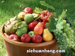 怎么榨果汁苹果葡萄