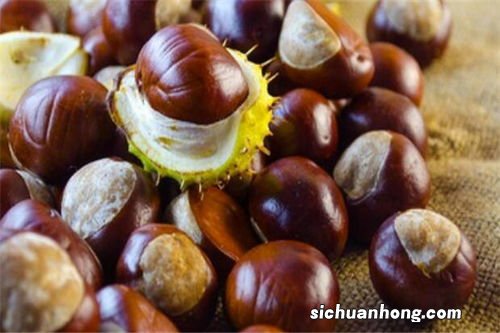 板栗煮多久高压锅