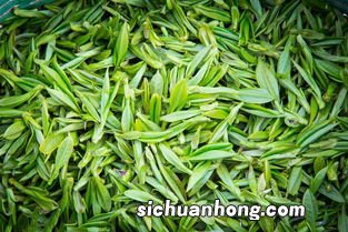 南方绿茶叶有什么好处
