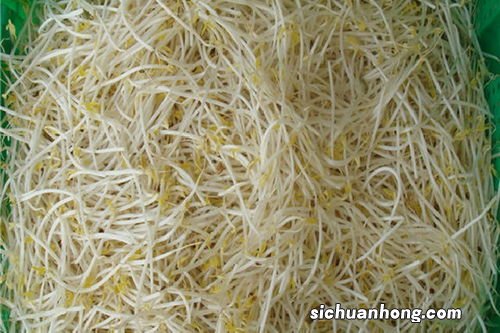 绿豆芽多久能熟