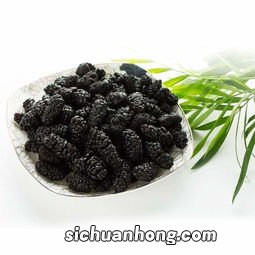 桑葚枸杞喝多久