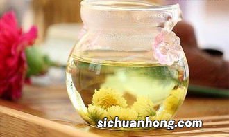 菊花和什么搭配喝