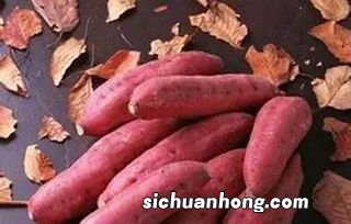 红薯忌与什么一起吃