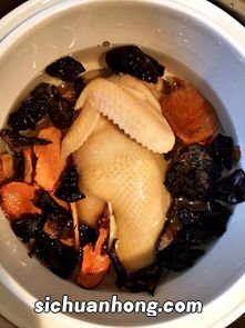 炖锅煮灵芝多久时间