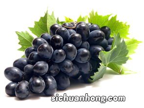 黑色的水果都有什么作用