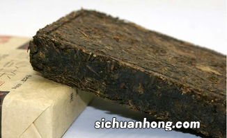 黑茶长在什么地方