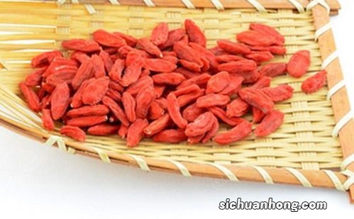 枸杞子干吃有什么作用与功效