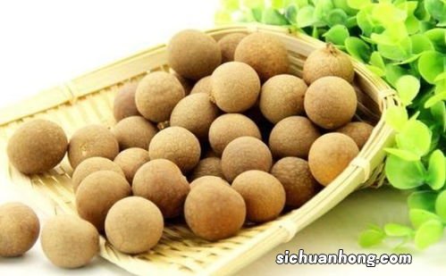 生桂圆怎么吃法大全