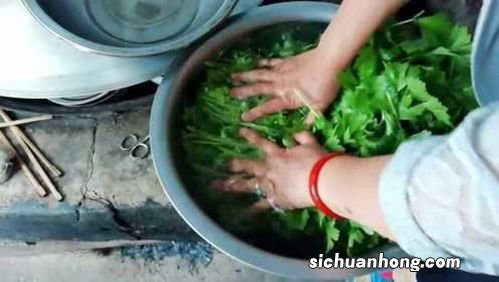 芹菜饺子活馅怎么活