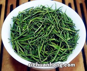 茶叶属于什么林