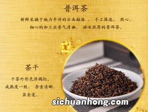 普洱茶配合什么意思