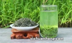 什么季节喝毛尖茶好