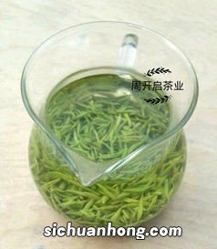 什么季节喝毛尖茶好