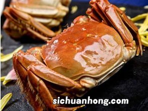 海石花 保存多久