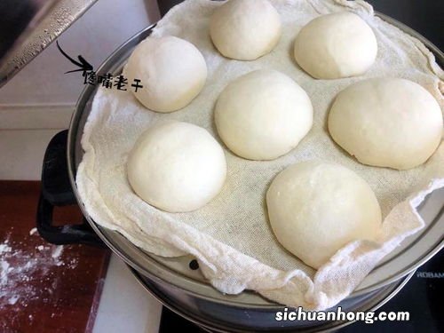 蒸馒头什么时候进锅