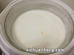 老酸奶怎么做法大全集