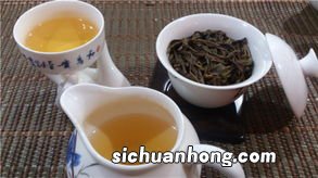 岭头单枞属于什么茶