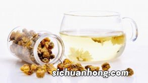 花茶 绿茶什么时候喝