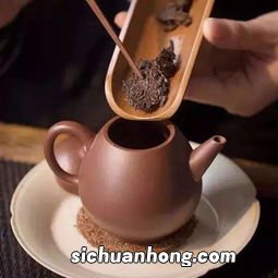 给壶适合冲什么茶