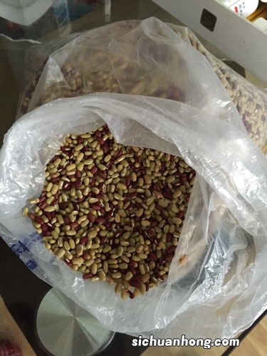 茶豆学名叫什么名字