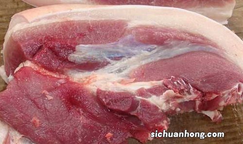 猪血块能放多久