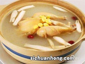什么鸡一汤补气血