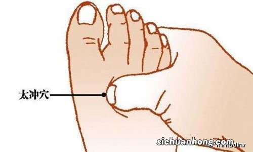 什么东西补肝好