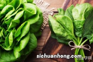 秋季的小孩吃什么菜好